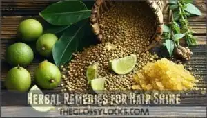 herbal remedies for hair shine