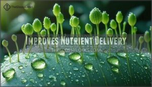 improves nutrient delivery