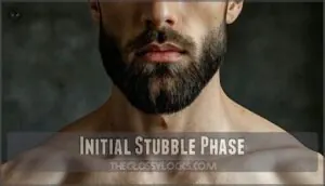initial stubble phase initial stubble phase