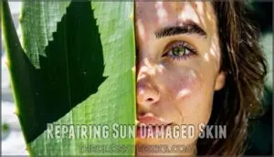 repairing sun damaged skin