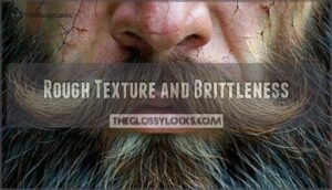rough texture and brittleness