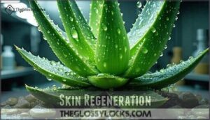 skin regeneration