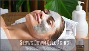 slows down cell aging