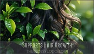 supports hair growth