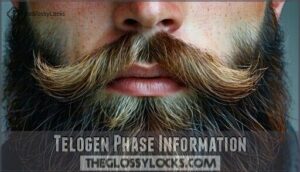 telogen phase information