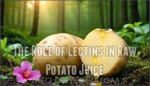 the role of lectins in raw potato juice