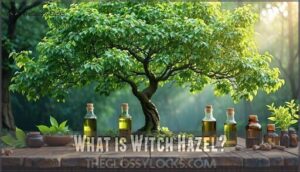 what is witch hazel