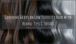 will henna cover grays on low porosity hair