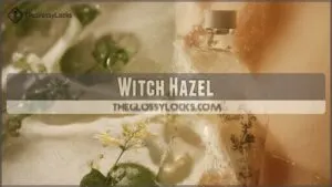witch hazel witch hazel