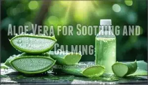 aloe vera for soothing and calming