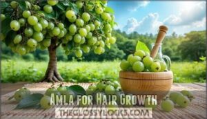 amla for hair growth