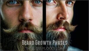 beard growth phases