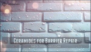 ceramides for barrier repair