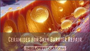 ceramides for skin barrier repair
