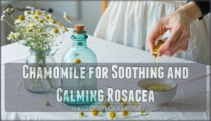 chamomile for soothing and calming rosacea