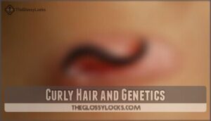 curly hair and genetics