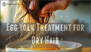 egg yolk treatment for dry hair