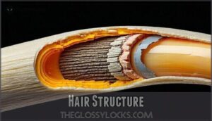 hair structure