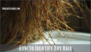how to identify dry hair