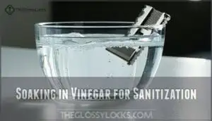 soaking in vinegar for sanitization