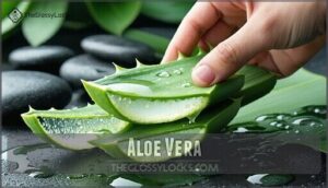 aloe vera