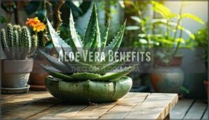 aloe vera benefits