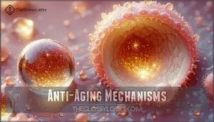 anti-aging mechanisms