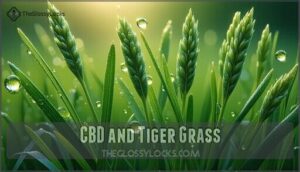 cbd and tiger grass