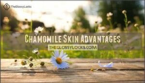chamomile skin advantages
