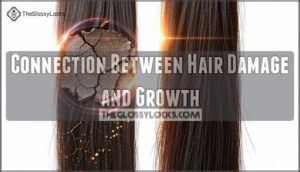 connection between hair damage and growth