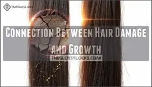 connection between hair damage and growth