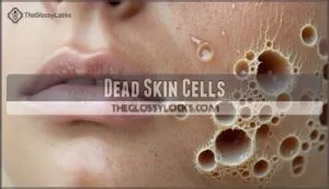 dead skin cells dead skin cells