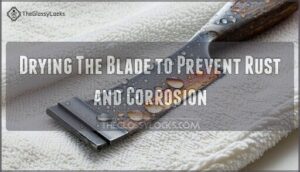 drying the blade to prevent rust and corrosion
