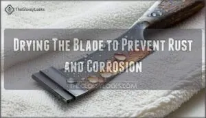 drying the blade to prevent rust and corrosion drying the blade to prevent rust and corrosion