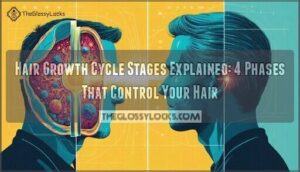 hair growth cycle stages explained