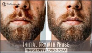 initial growth phase