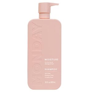 MONDAY HAIRCARE Moisture Shampoo (Amazon B08M5GHRPF