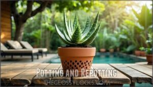 potting and repotting