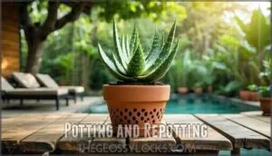 potting and repotting potting and repotting