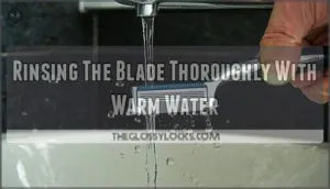 rinsing the blade thoroughly with warm water rinsing the blade thoroughly with warm water