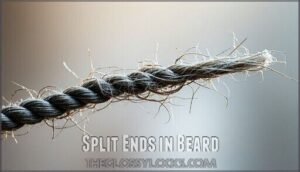 split ends in beard