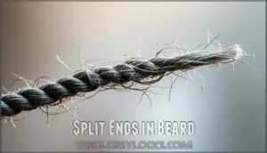 split ends in beard