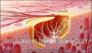understanding the hair growth cycle