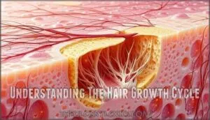 understanding the hair growth cycle understanding the hair growth cycle