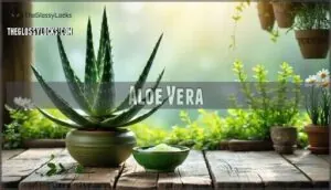 aloe vera aloe vera