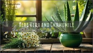 aloe vera and chamomile