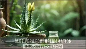 aloe vera for inflammation