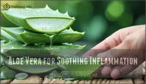 aloe vera for soothing inflammation