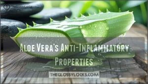 aloe vera’s anti-inflammatory properties