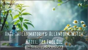 anti-inflammatories: allantoin, witch hazel, tea tree oil